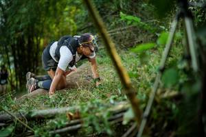 BIB: 
                            <button type="button" onclick="openModal(19434436)" class="btn btn-primary btn-sm float-right btn-popup" data-toggle="modal" data-target=".modal-high-quality">
                        <i class="fas fa-shopping-cart"></i> Add to Cart
                    </button>
                                            <button type="button" onclick="isThisMe(19434436, true)" class="btn btn-success btn-sm float-right btn-popup btn-isme hidden" data-toggle="tooltip" data-placement="bottom" title="นี่คือรูปของคุณใช่ไหม คลิกที่นี่เพื่อเอาเข้าอัลบั้ม">
                        <i class="fas fa-plus"></i> Add to album
                    </button>
                    <button type="button" onclick="isThisMe(19434436, false)" class="btn btn-warning btn-sm float-right btn-popup btn-isnotme hidden">
                        <i class="fas fa-ban"></i> Remove from album
                    </button>